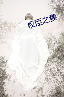 权(qun)臣之妻