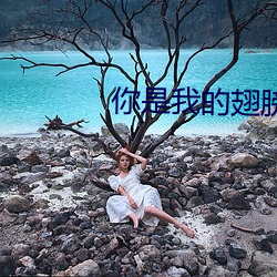你是我的翅膀