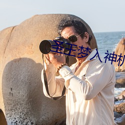 聖王夢入神機