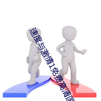 速率与激情1免费高清国语