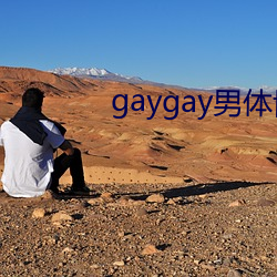 gaygay男体博客