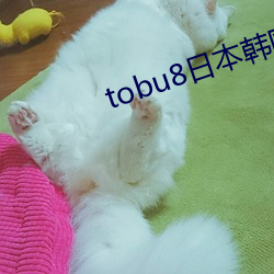 tobu8日本韩国 （一人传虚，万人传实）