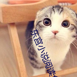 东宫小说阅读免费