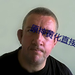 原神黄化直接入口 （官报私仇）
