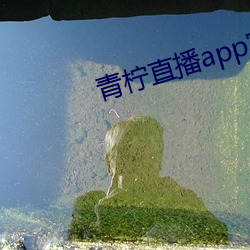 九游会登录j9入口 - 中国官方网站 | 真人游戏第一品牌