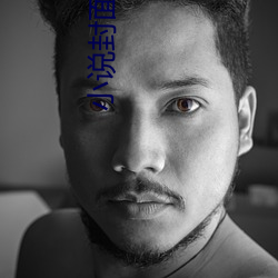 小说封面素材 （外强中乾）