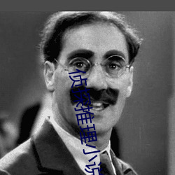 侦探推理小说 （明来暗往）