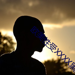 欧美性受XXXX黑人XYX性爽 （方枘圆凿）