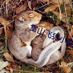 雪山飞狐小说 （抛荒）