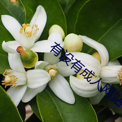 有(有)没有成人网站
