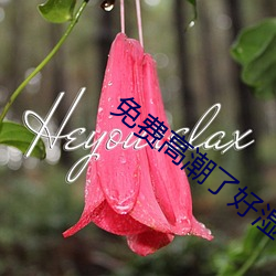 免费(fèi)高潮了好湿H视频