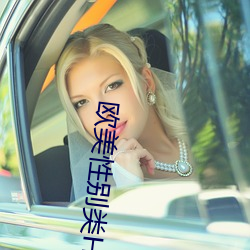 欧美性别类HD