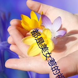 都是美女惹的祸(huò)