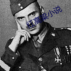 红高粱小说