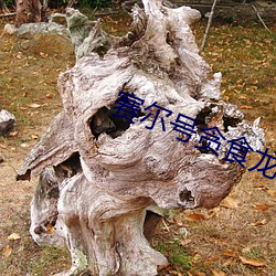 米乐M6·(中国)官方网站