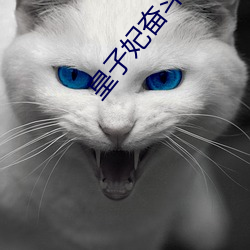 皇子妃奮鬥史