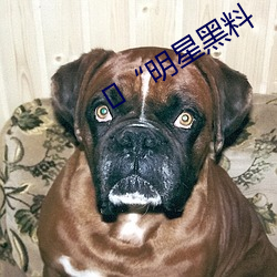 ¡°明星黑料