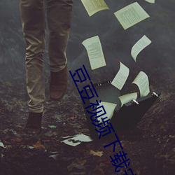 豆豆视频下载安装