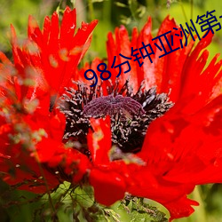 98分鍾亞洲第一