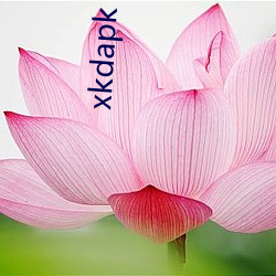 xkdapk （三头六证）