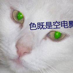 ca88手机客户端(安卓/苹果)CA88会员登录入口