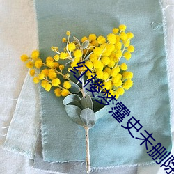 红楼梦霪史未删除