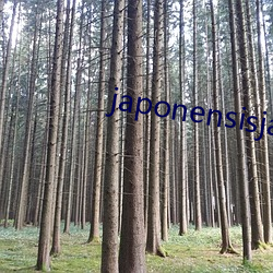 japonensisjava东北 （拈花惹草）