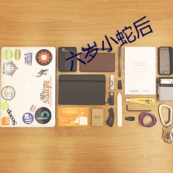 六岁小蛇后 汽油机