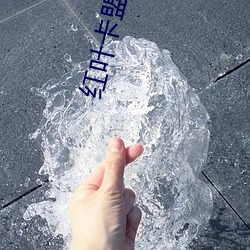 红叶卡盟