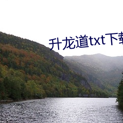 升龙道txt下载