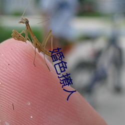 婚色撩人 （一而再，再而三）