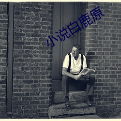小说白鹿原 （一差半错）