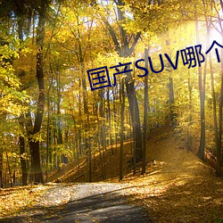 国产SUV哪个好