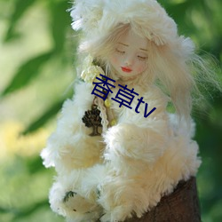 香草tv （撞头搕脑）