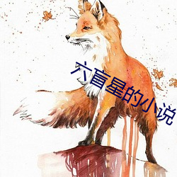 六盲星的小说