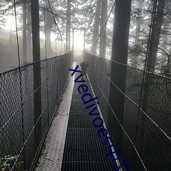 xvedivoes中(zhōng)文版