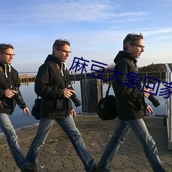 麻(麻)豆(豆)大(大)象(象)回家(家)导航
