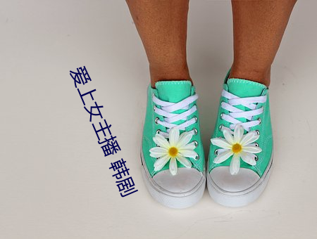 爱(ài)上女主(zhǔ)播 韩剧