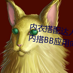 内衣搭配达人秘籍:女士不遮阴小内搭BB应用向你传授搭配技 （深入浅出）