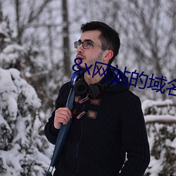 8x网站的域名 （情恕理遣）