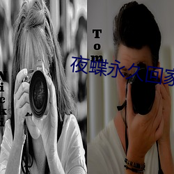 夜蝶永久回家地址yd1 t