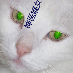 神醫嫡女小說