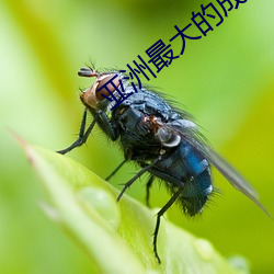 九游会登录j9入口 - 中国官方网站 | 真人游戏第一品牌