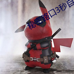秘(秘)密路口3秒自动进(進)入(入)