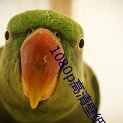 1080p高清壁纸