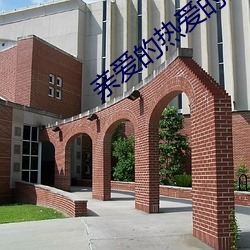 亲爱的热爱的全集百度云(yn)