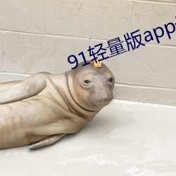 91轻(輕)量版app最新下载