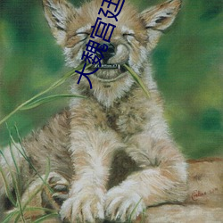 大魏宫廷