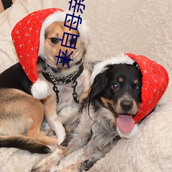 来自母(母)亲的诱惑