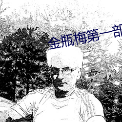 金瓶梅第(第)一(一)部(部)
